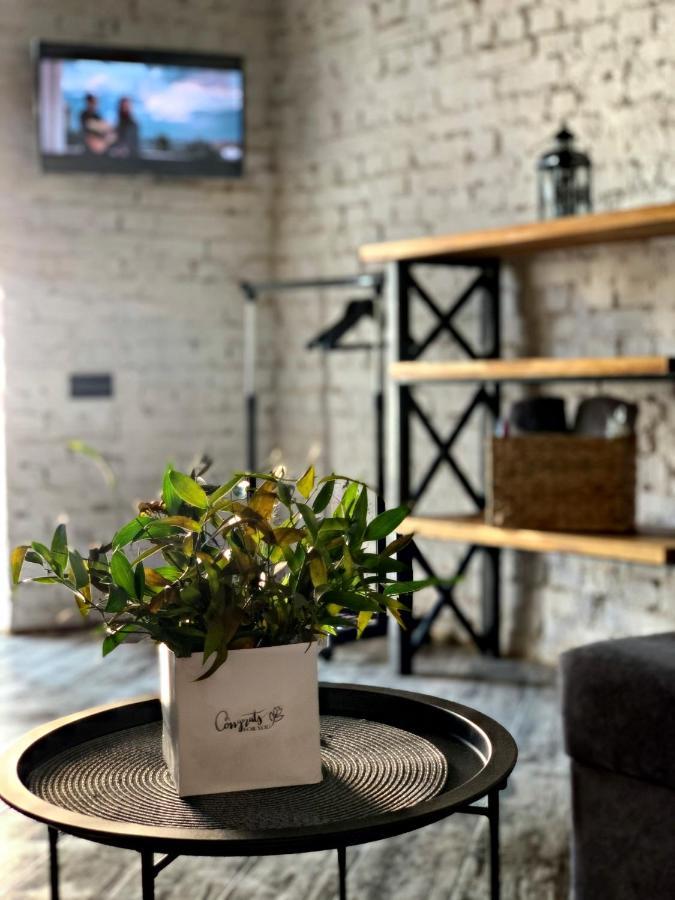Luxury_loft Apartment