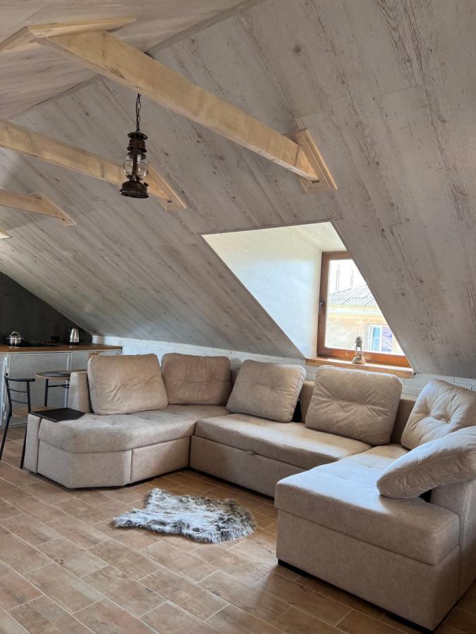 Luxury_loft Apartment Kamianets-Podilskyi